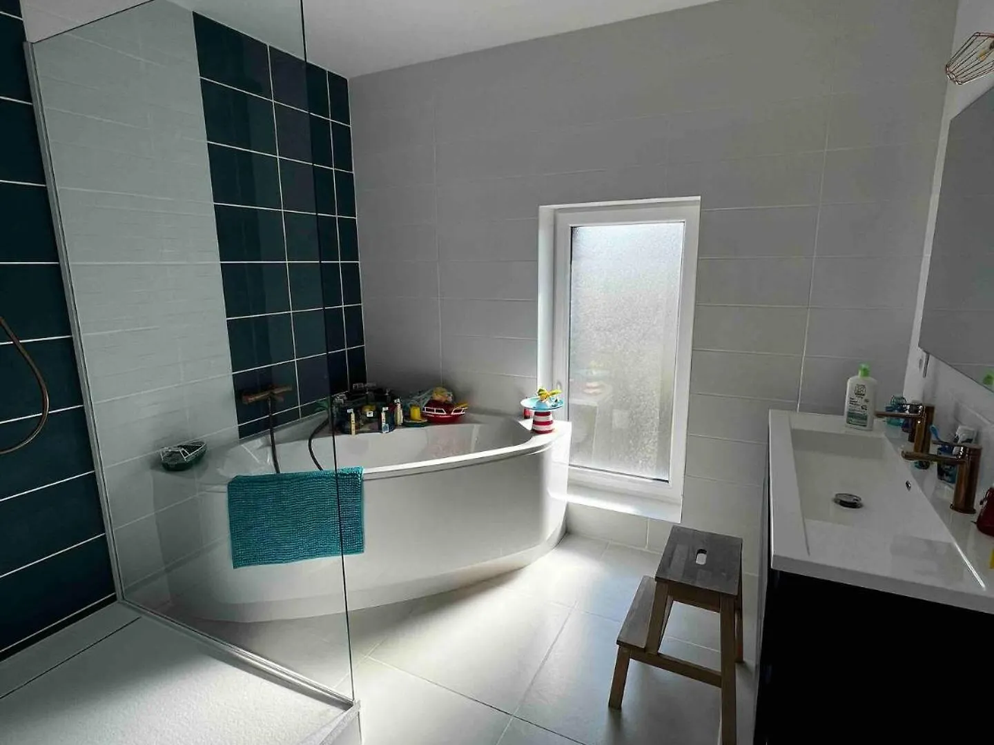 Agreable Maison Renovee, En Ville Et Au Calme ! Lyon Villa